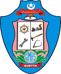 Government Technical Model School, Quetta Logo